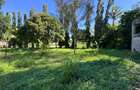 2 ac Land at Mtwapa - Animo - 13