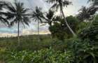 0.75 ac Land at Ls139 - 6