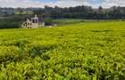 0.5 ac Land at Riara Ridge Tigoni - 1