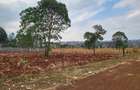Residential Land in Ruiru - 7