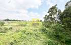 4 Bed House in Kikuyu Town - 16