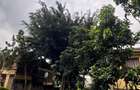 5 Bed Townhouse with En Suite at Langata - 3