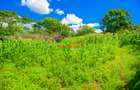 0.2 ha Commercial Land in Ndeiya - 8