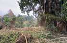 1 ac Land in Kitisuru - 4