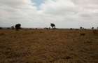 Land at Umma University - 12