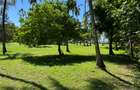 3.9 ac Land at Kikambala Beach - 14