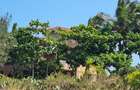 4 Bed Villa with En Suite at Kanamai - 11