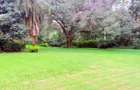 4.1 ac Land in Rosslyn - 5