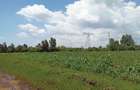 5 ac Land in Naivasha - 1