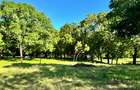 73.6 ac Land at Vipingo Kuruwitu Beach - 9