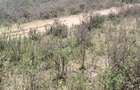 Land in Mai Mahiu - 6