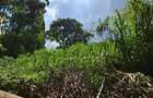 Commercial Land in Kitisuru - 3