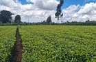 1 ac Residential Land at Limuru Girls High School - 5