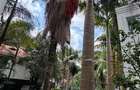 2 Bed Apartment with En Suite at Karen - 4