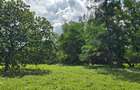 20 ac Land at Mtwapa - 17