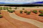 540 ac Land in Bisil - 3