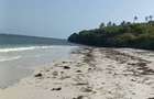 Land at Tiwi - 4