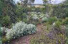 Land in Narok - 4