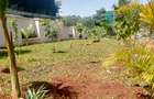 3 Bed Apartment at Two Rivers Mall - 2