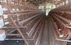 3 ac Land in Malindi - 4