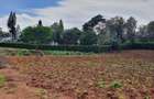Residential Land in Karen - 2