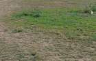 4.8 ac Commercial Property with Garden in Athi River - 5