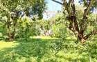 Land at Mtwapa - 14