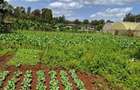 0.2 ac Residential Land at Windridge - 1