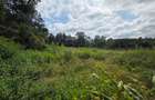 Land in Karen - 4