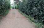 0.5 ac Land at Ololua - 9