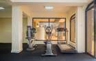 Serviced 2 Bed Apartment with Swimming Pool at David Osieli Road - 10