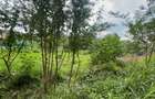 0.75 ac Residential Land at Convent Dr - 3