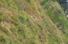 Land in Karen - 2