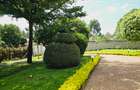 1 Bed House with Garden in Runda - 13
