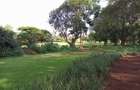 500 m² Residential Land at Kiambu Road - 7