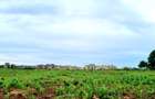5 ac Land at Utalii -Campus - Vipingo - 16