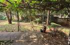 2 Bed Apartment with Gym at Sports Road - 2