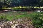 0.125 ac Residential Land at Juja Gatundu Road - 11