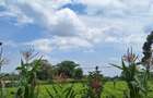 1 ac Residential Land at Tigoni - 7