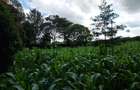 Land at Kirawa Road - 14