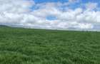 314 ac Land at Timau - 24