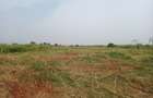 Residential Land in Tatu City - 11