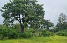 4 ac Land at Mtwapa - 8