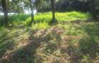 1.2 ac Land in Ngong - 14