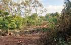 Land at Malindi Mombasa Road - 12