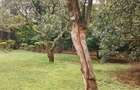 4 Bed House with En Suite at Karen C - 9