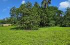 20 ac Land at Mtwapa - 11