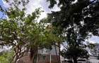 Furnished Commercial Property with Service Charge Included at Baba Dogo - 15