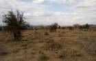 Land at Lorogoswa - 1