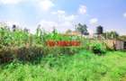 0.05 ha Commercial Land at Sigona - 8